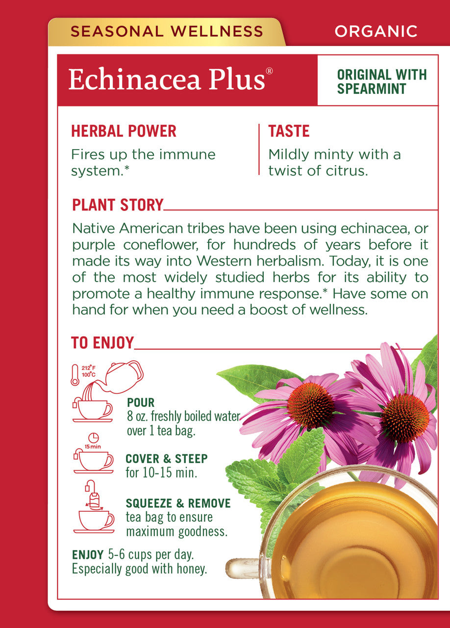 Traditional Medicinals Echinacea Pls Tea (6x16 Bag)-1