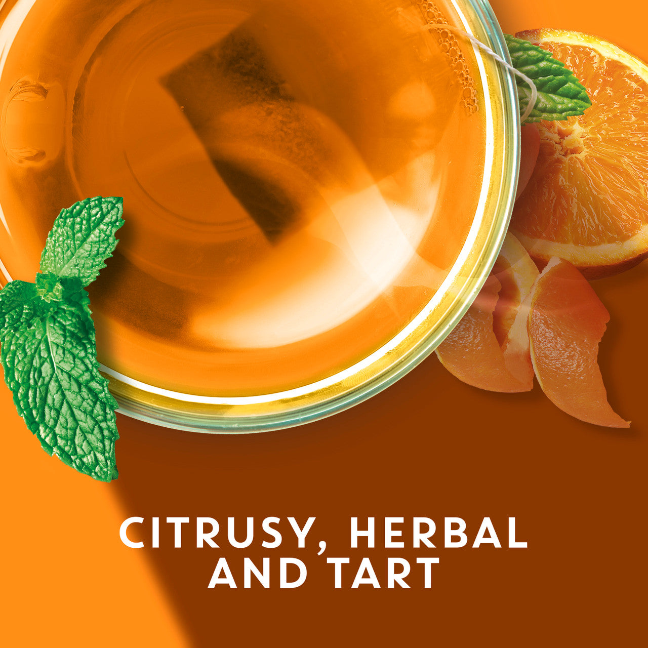 Tazo Tea Herbal Wild Sweet Orange Tea (6x20 Bag)-3